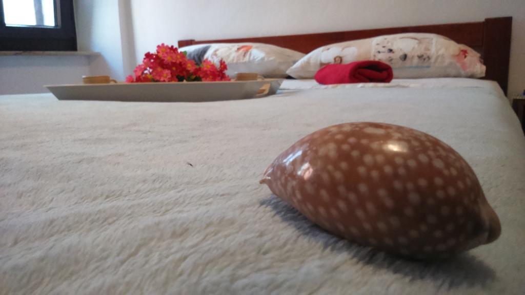 איזולה Apartment Vladka מראה חיצוני תמונה